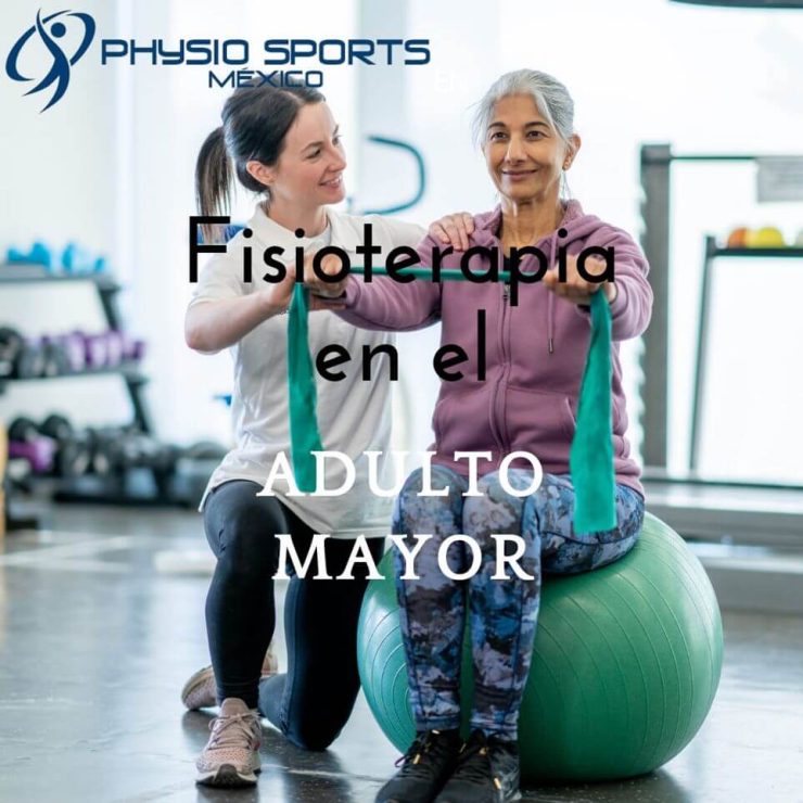 Fisioterapia en el adulto mayor