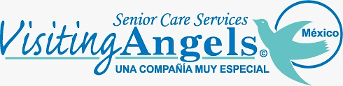 Visiting Angels Senior Care Services