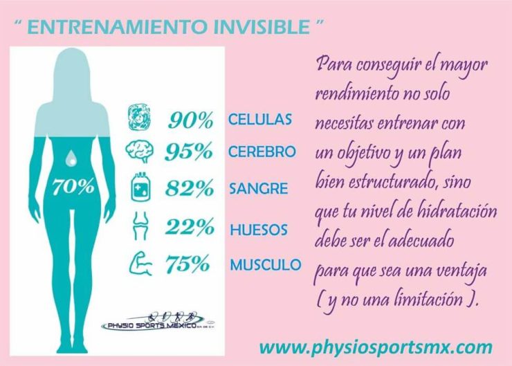 Hidratación - Entrenamiento invisible